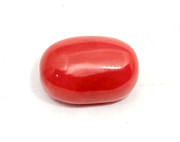 RED CORAL ( MOONGA )