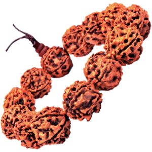 RUDRAKSH BRACELET