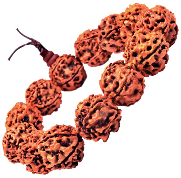 RUDRAKSH BRACELET